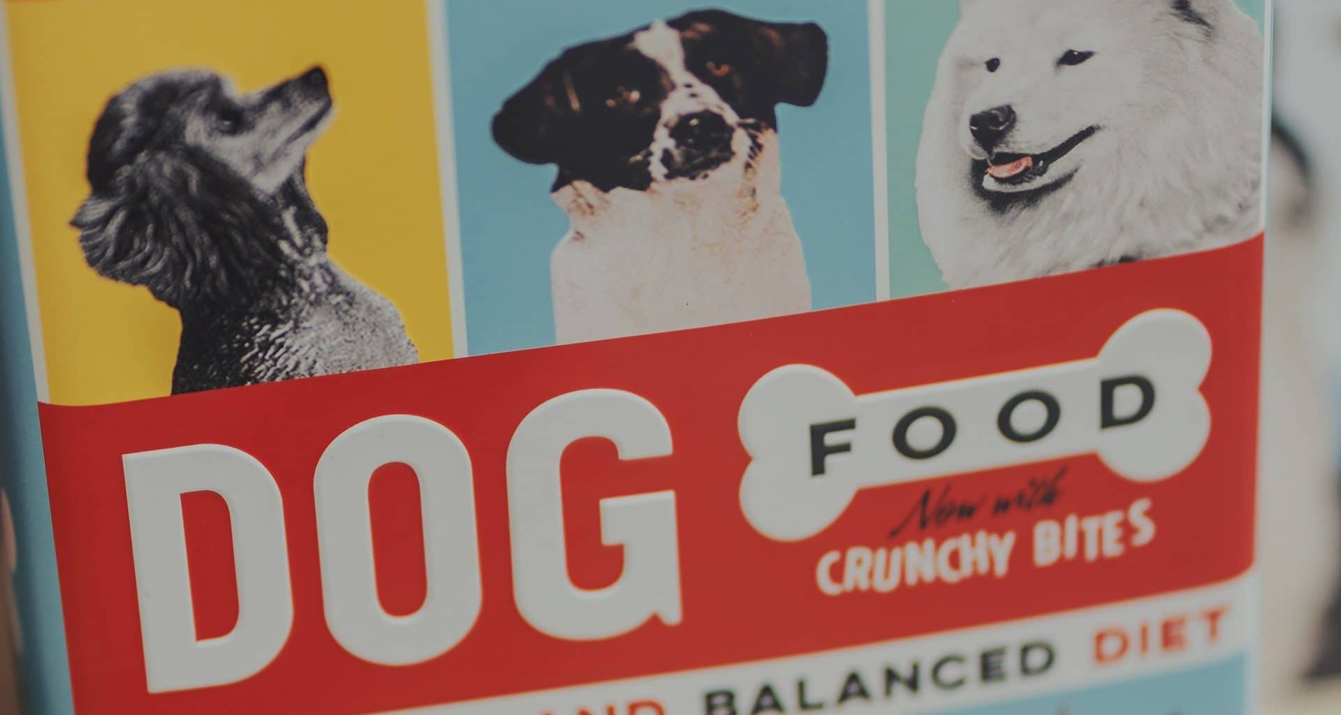 pet industry statistics - featured image
