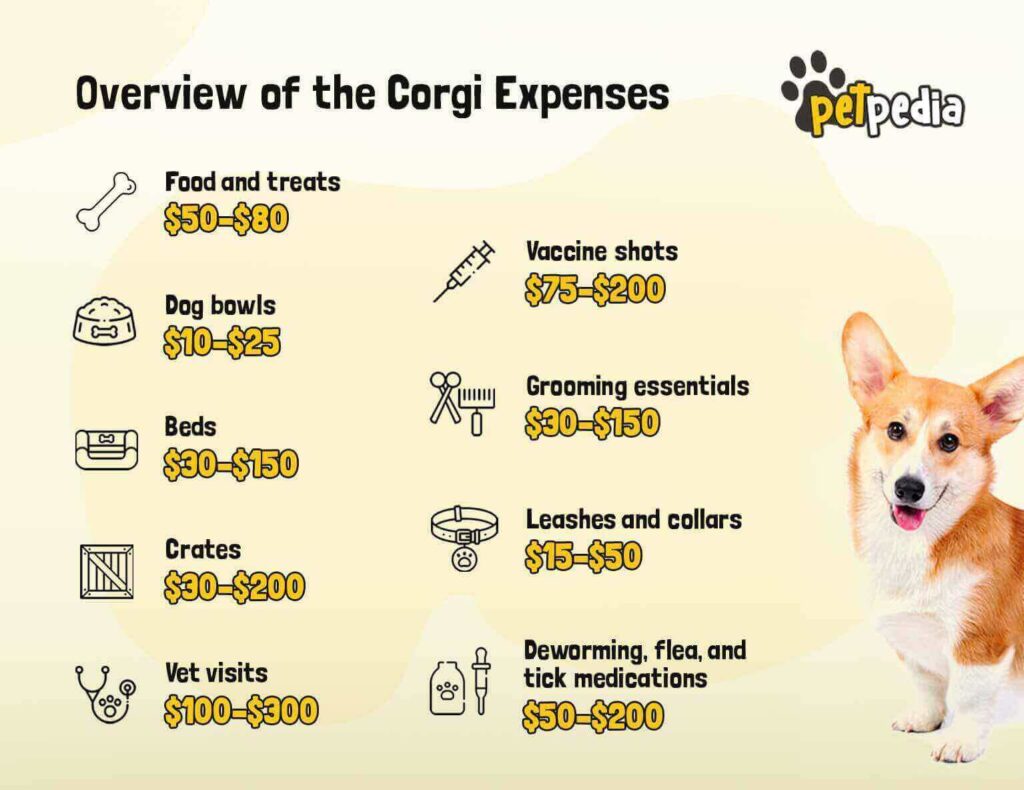 How Much Is a Overview of All Expenses