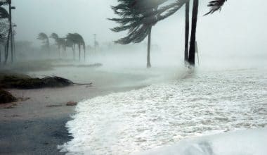 hurricane statistics - featured image