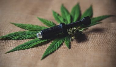 Best CBD Oil for Pets - Featured Image