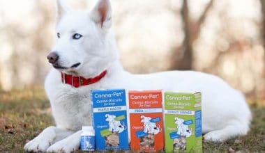 Canna-Pet Reviews - Featured Image