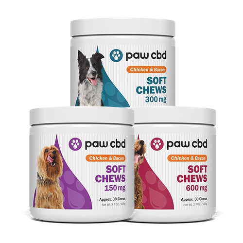 cbdMD CBD Soft Chews for Dogs - Review