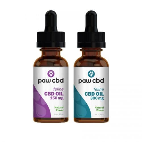 cbdMD Paw CBD Oil Tinctures for Cats - Review