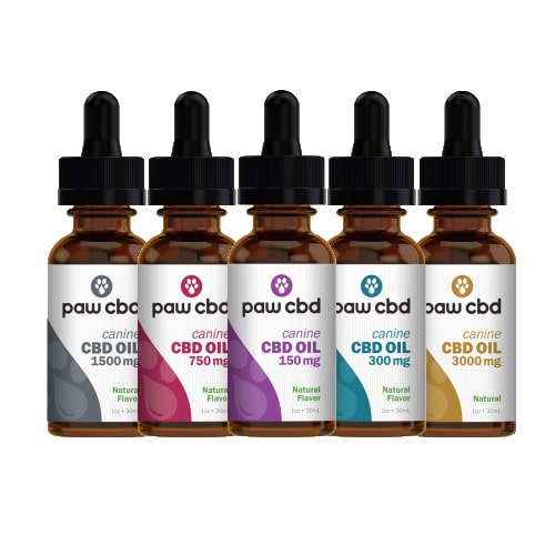 cbdMD Paw CBD Oil Tinctures for Dogs - Review
