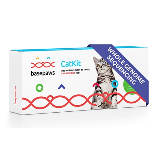 Basepaws Breed + Health DNA Test