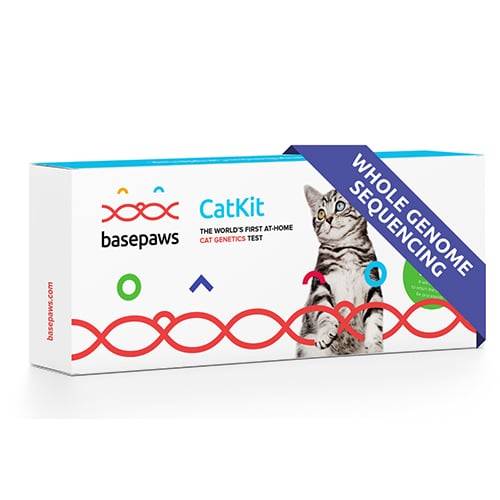 Basepaws DNA