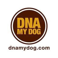 DNA My Dog Logo