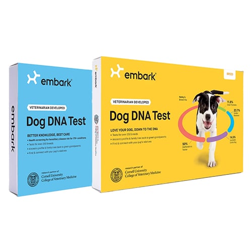 Embark DNA Test for Dogs - Review