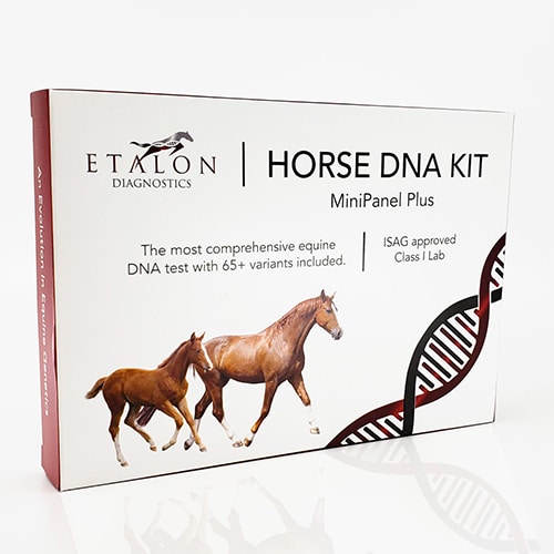 Etalon Diagnostics Horse DNA Testing Review