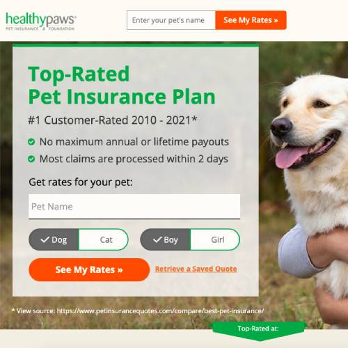 Healthy Paws Insurance