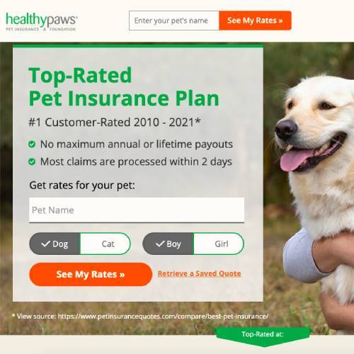 HealthyPaws Insurance
