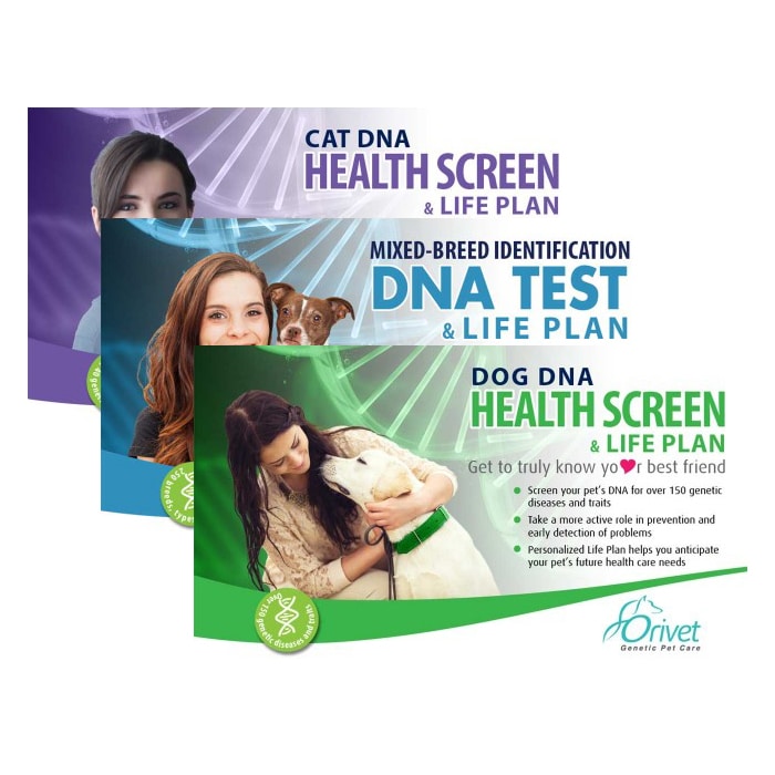 HomeDNA Review - Dog and Cat DNA Test Kit