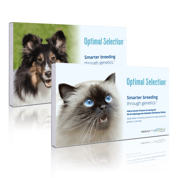Optimal Selection Feline Test Kit Review