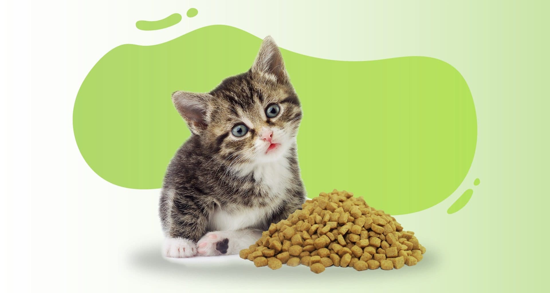 The Best Kitten Food Of 2021 Reviews Buyer S Guide