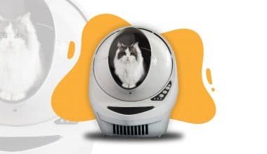 Best Self-Cleaning Litter Box - Feature Image