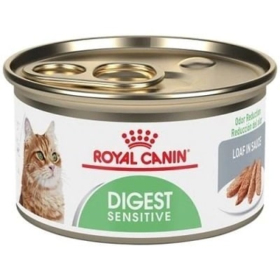 Best Wet Cat Food - Royal Canin Digest Sensitive Loaf in Sauce Canned Cat Food Review