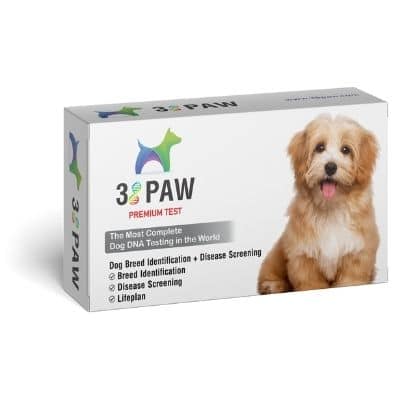 38 Paw Dog Breed Identification + Disease Screening