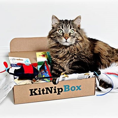 Best Gifts for Cat Lovers - KitNipBox Review