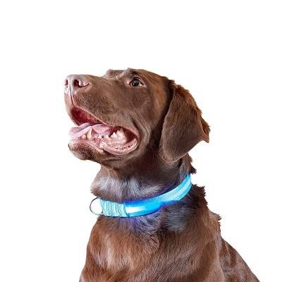 FurHaven LED Safety Light-Up Dog Collar