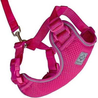 RC Pet Products Adventure Kitty Harness