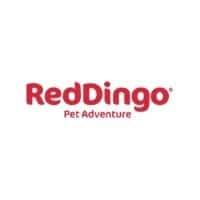RedDingo Logo