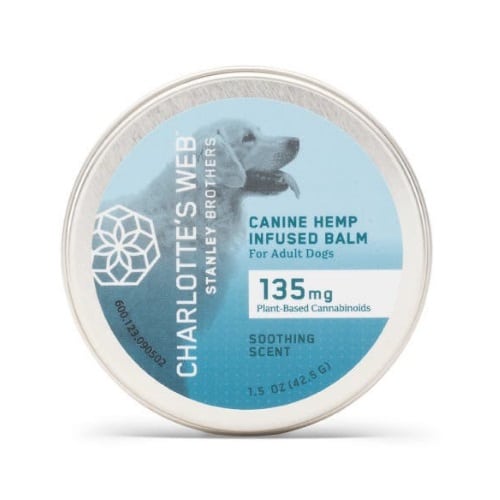 Charlotte’s Web PAWS Review - Charlotte’s Web Hemp Infused Balm for Dogs
