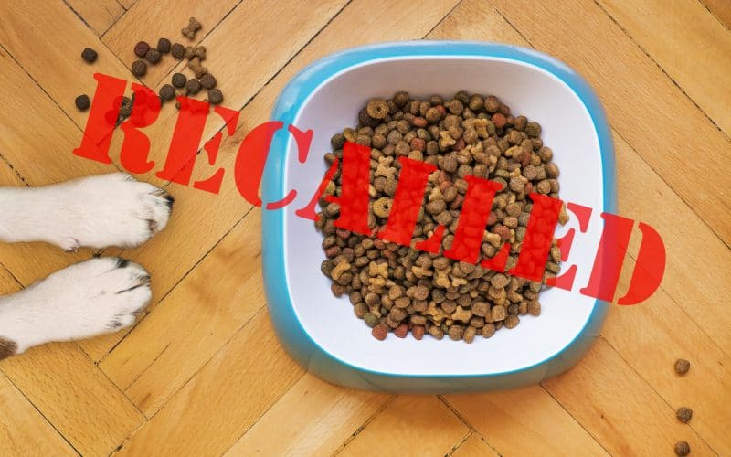 Midwestern Recalls 60 Dog & Cat Foods Due to Salmonella Risk