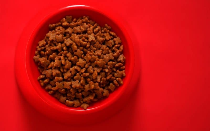 Freshpet Recalls Dog Foods Due to Salmonella Risk