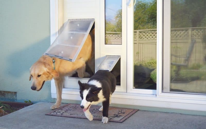 Dog Gates, Pens, and Doors Market to Reach $8.9 Billion by 2031