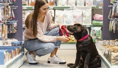 Pandemic Pet Spending Trends That Are Likely to Stay In 2022