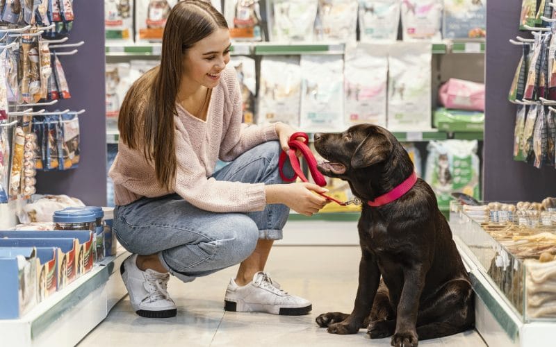 Pandemic Pet Spending Trends That Are Likely to Stay In 2022
