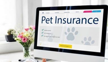 What Percentage of Pet Owners Have Pet Insurance - Featured Image