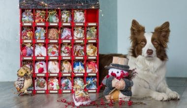 Aldi Recalls Pure Being Advent Calendars for Cats and Dogs