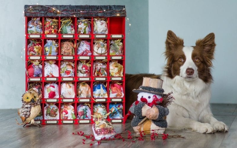 Aldi Recalls Pure Being Advent Calendars for Cats and Dogs