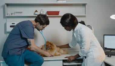 Anticipated Annual Growth of 7.7% in the Veterinary CRO Market by 2030