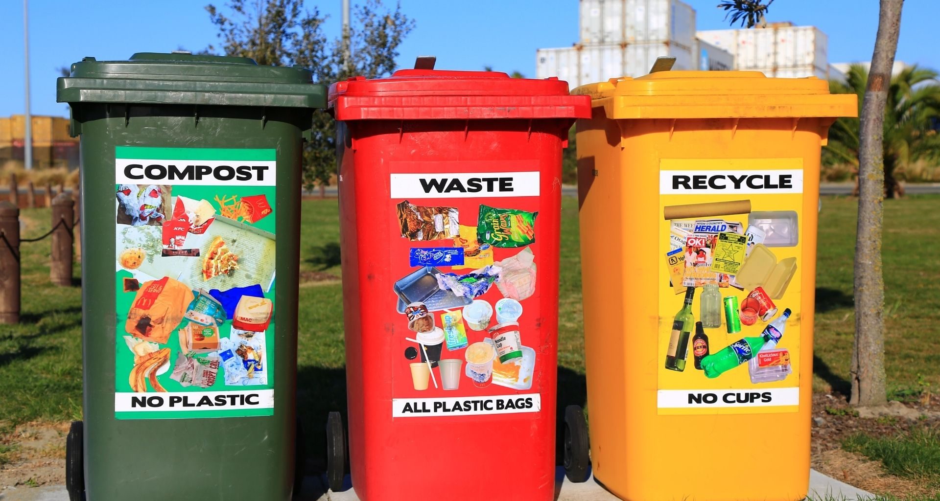 How Many People Recycle - Featured Image