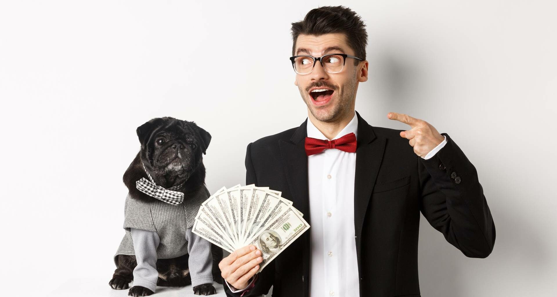 How much does a dog cost - Featured Image