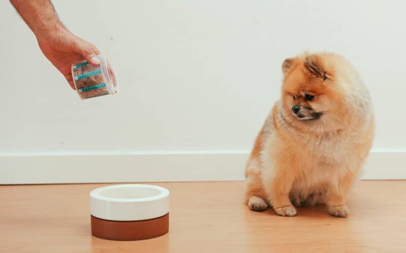 2022 Freshpet Sales to Increase by 35% Compared to 2021