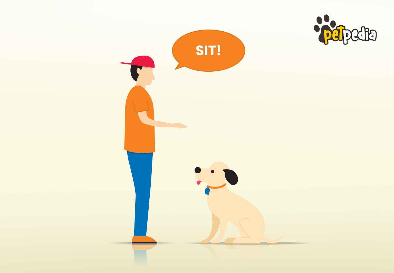 can dogs learn hand signals
